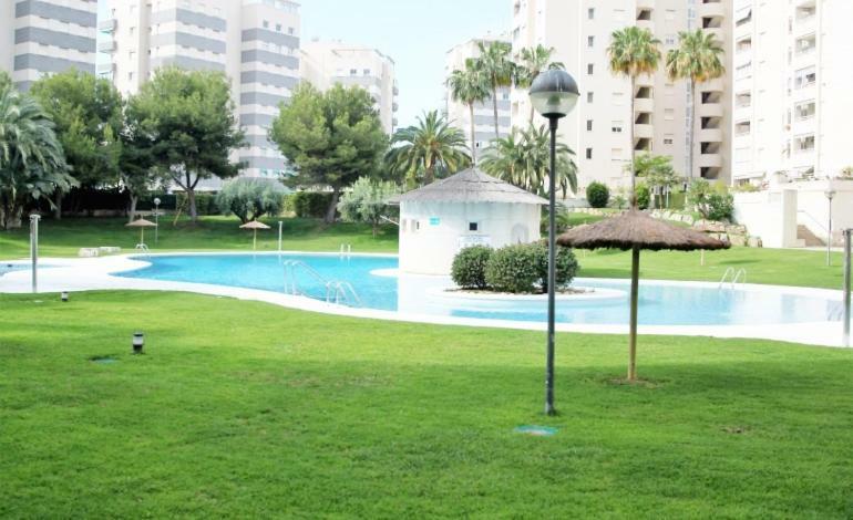 Jardin Del Mar