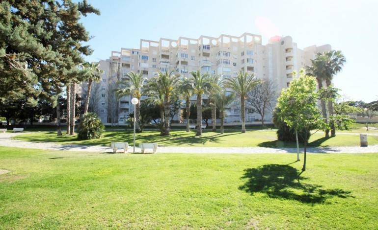 Jardin Del Mar *